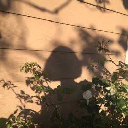 สมาชิกหมายเลข 3908041