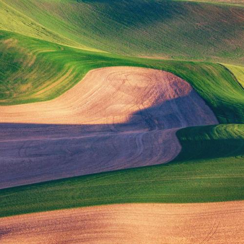 สมาชิกหมายเลข 4766340