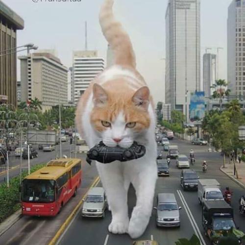 สมาชิกหมายเลข 4768546