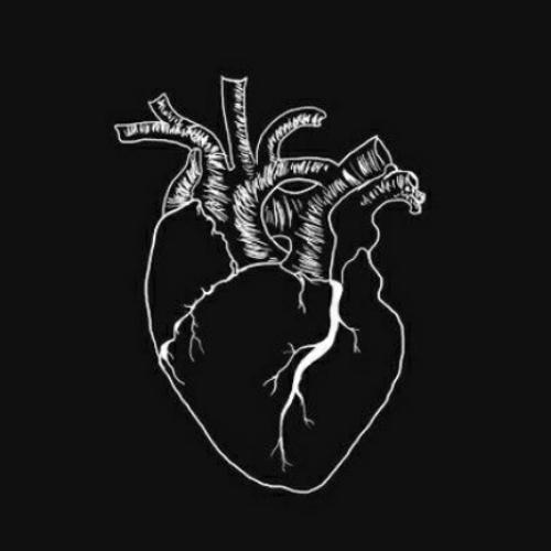 สมาชิกหมายเลข 4768726