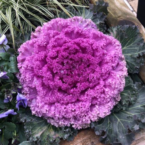 สมาชิกหมายเลข 5139806