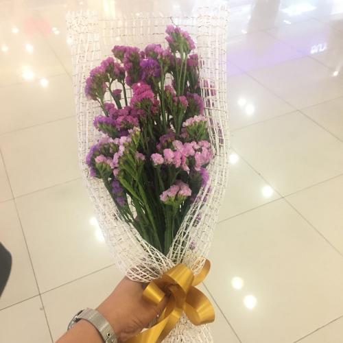 สมาชิกหมายเลข 5144906