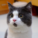 แก้วเกดกฤษณา