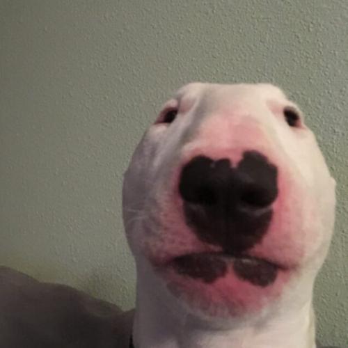 สมาชิกหมายเลข 7480728