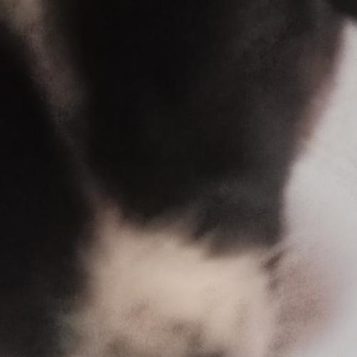 สมาชิกหมายเลข 8320816