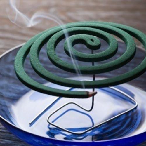 เมายากันยุง