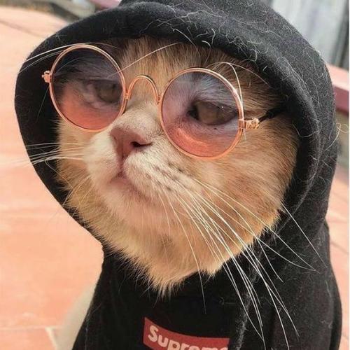 สมาชิกหมายเลข 5545517