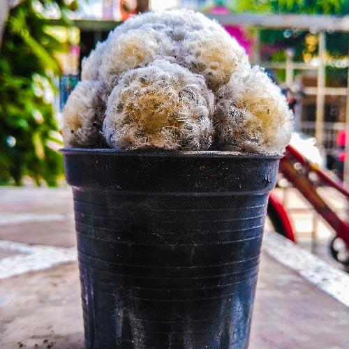 สมาชิกหมายเลข 5744204