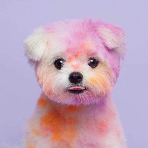 สมาชิกหมายเลข 6083564