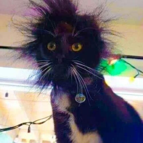 สมาชิกหมายเลข 6097967