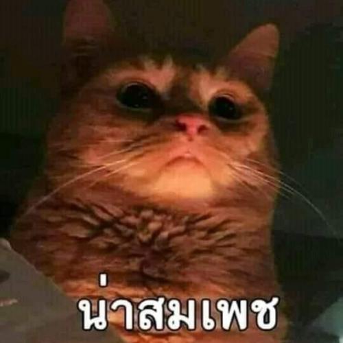 สมาชิกหมายเลข 6098743