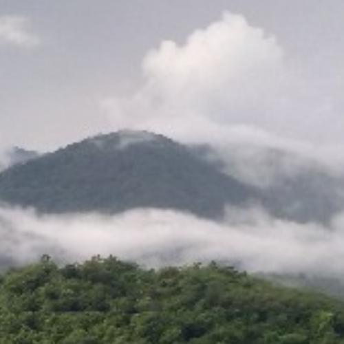 สมาชิกหมายเลข 6722496