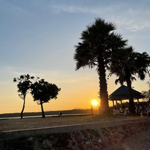 สมาชิกหมายเลข 4498181