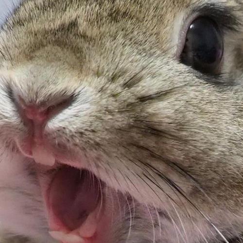 สมาชิกหมายเลข 7481295