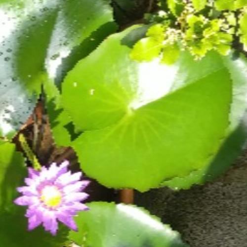 สมาชิกหมายเลข 8323705