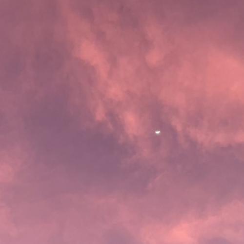 สมาชิกหมายเลข 8378274