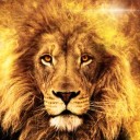 สมาชิกหมายเลข 3921237