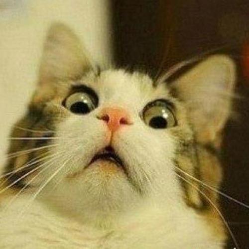 สมาชิกหมายเลข 3942671