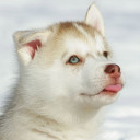 สมาชิกหมายเลข 4769311