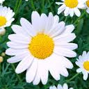 สมาชิกหมายเลข 1705620