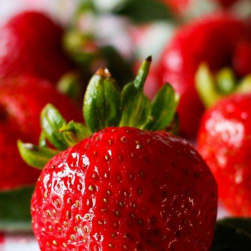 สมาชิกหมายเลข 5145405