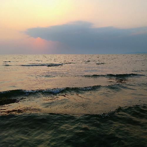 สมาชิกหมายเลข 5145662