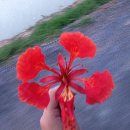 สมาชิกหมายเลข 4625664