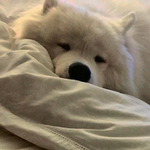 สมาชิกหมายเลข 5546263