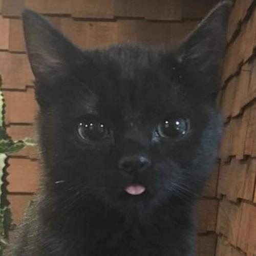 สมาชิกหมายเลข 6073993