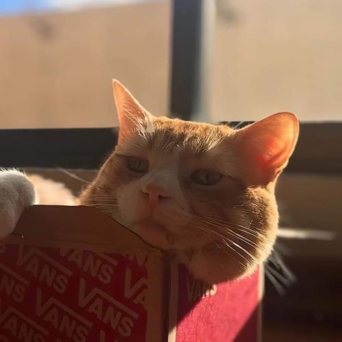 สมาชิกหมายเลข 6099013