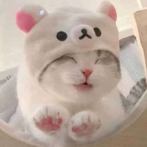 สมาชิกหมายเลข 6099341