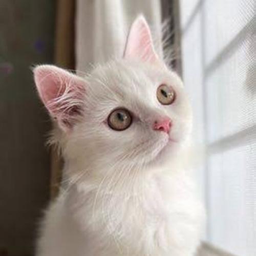 สมาชิกหมายเลข 7481998