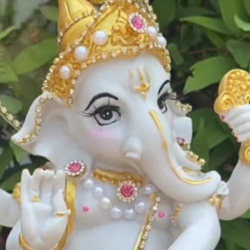 สมาชิกหมายเลข 7482067