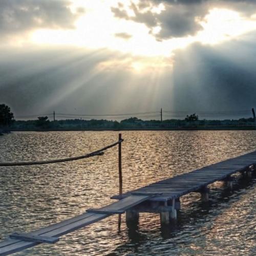 สมาชิกหมายเลข 950423