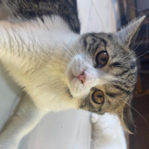 สมาชิกหมายเลข 6674039