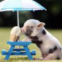 สมาชิกหมายเลข 3941235