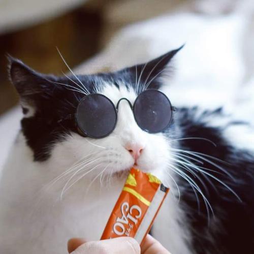 สมาชิกหมายเลข 4418917