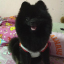 สมาชิกหมายเลข 2373776