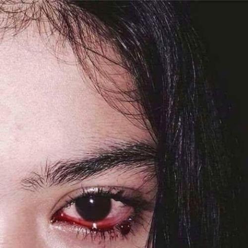 สมาชิกหมายเลข 4768789