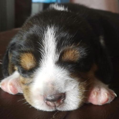 สมาชิกหมายเลข 5145805