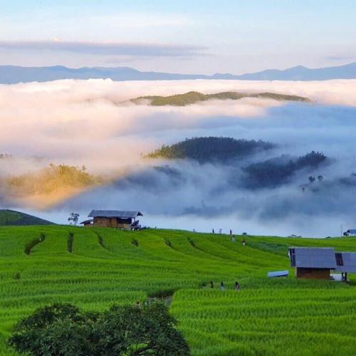 ใยฝันปันรัก