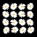 สมาชิกหมายเลข 5543576