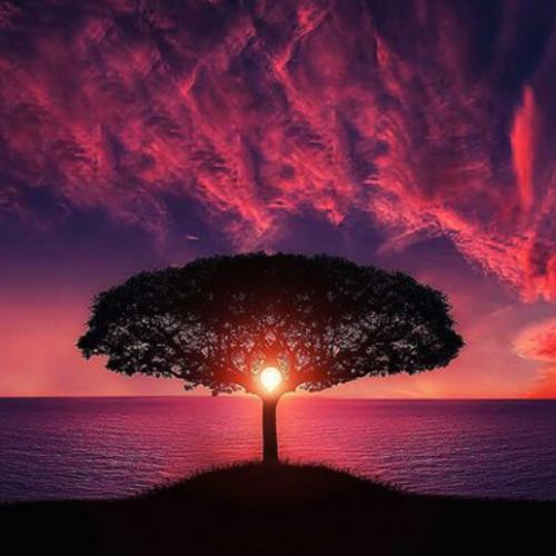 สมาชิกหมายเลข 6099700