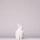 สมาชิกหมายเลข 2304636