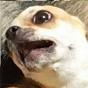 สมาชิกหมายเลข 2306314