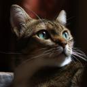 วันนั้นวันนี้พรุ่งนี้