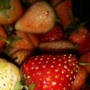 สมาชิกหมายเลข 4420715