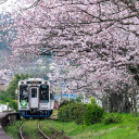 สมาชิกหมายเลข 4422550