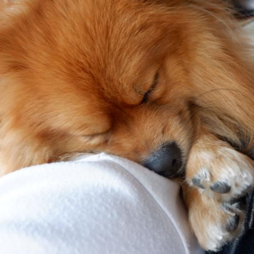 สมาชิกหมายเลข 5146449