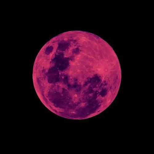 สมาชิกหมายเลข 5146557